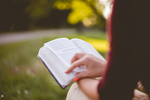 young woman reading bible