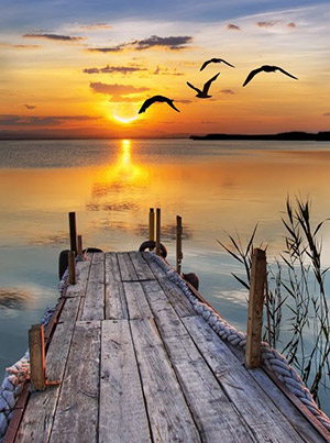 birds flying over a lake at sunrise